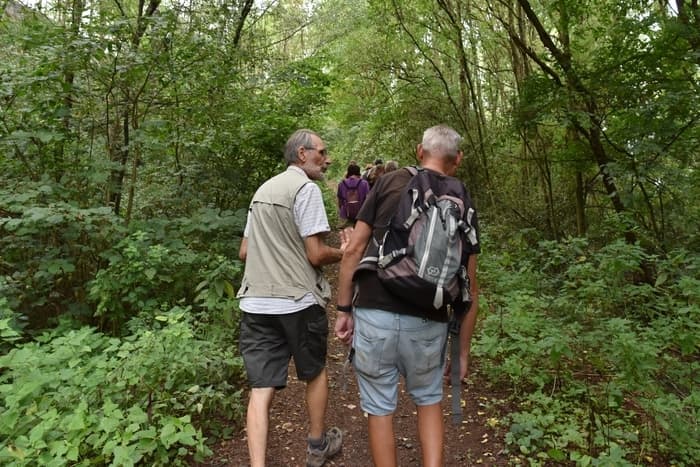 Illustration de l'événement : Découverte du Chemin de Compostelle à Carvin