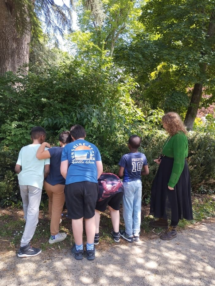 Illustration de l'événement : Atelier d’observation « Le jardin des Arènes à la loupe »