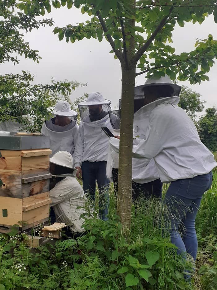Illustration de l'événement : Visite du rucher + dégustation de nos produits