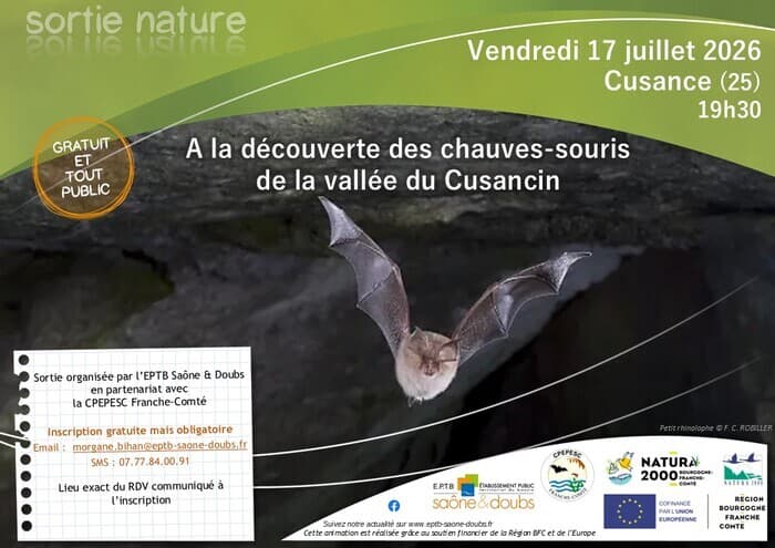 Illustration de l'événement : A la découverte des chauves-souris de la vallée du Cusancin