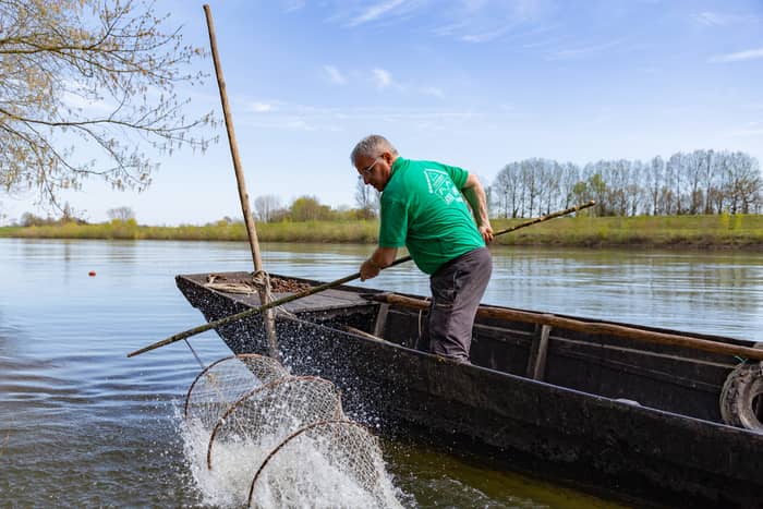 Illustration de l'événement : Conférence : Pêcher en Loire