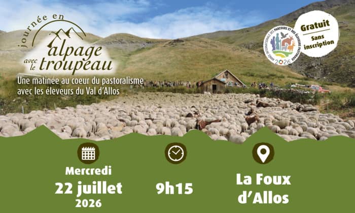 Illustration de l'événement : 04 - Journée en alpage dans le val d'Allos