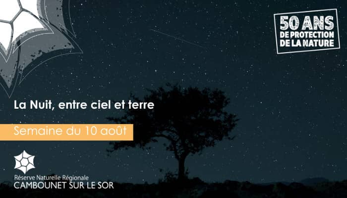 Illustration de l'événement : La Nuit, entre ciel et terre