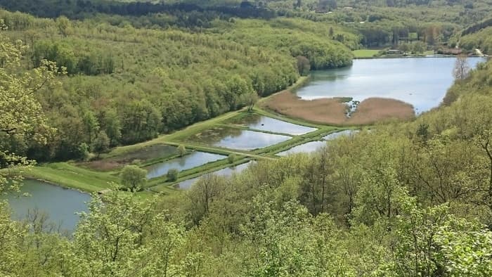 Illustration de l'événement : À la découverte de la biodiversité des étangs de Valojoulx