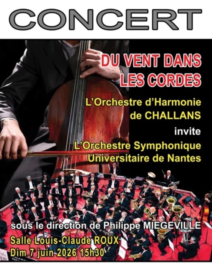 Illustration de l'événement : DU VENT DANS LES CORDES