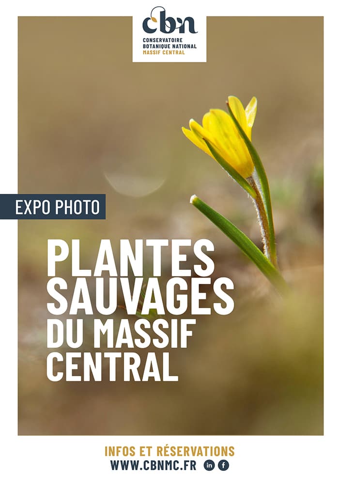 Illustration de l'événement : Expo photo "Plantes sauvages du Massif central" (43)