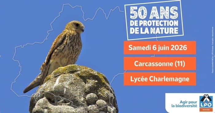 Illustration de l'événement : 50 ans de la loi de protection de la nature : zoom sur les rapaces en région Occitanie
