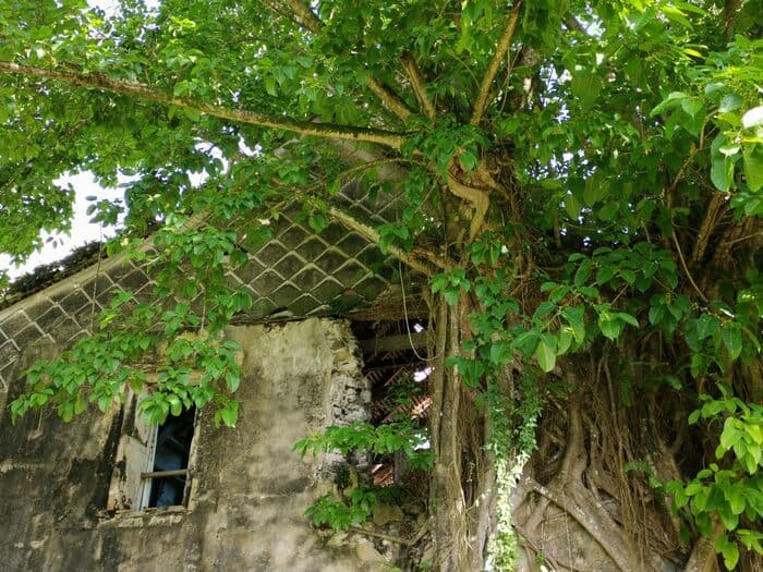 Illustration de l'événement : VISITE COMMENTÉE DE L'HABITATION DUFFERET