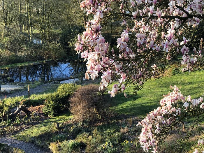 Illustration de l'événement : Art et rocaille dans le jardin historique semblable à un parc