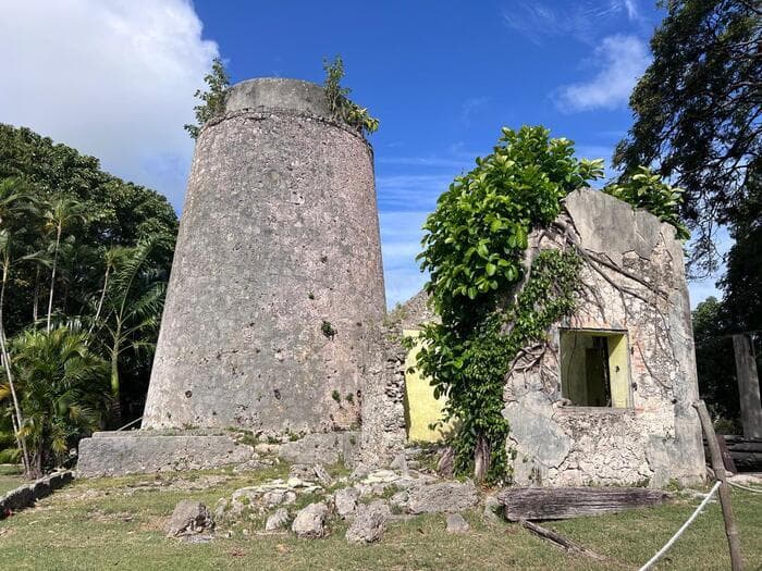 Illustration de l'événement : A la découverte de 300 ans d'histoire de canne, de sucre et de rhum