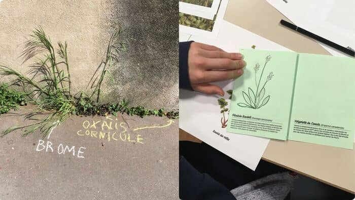Illustration de l'événement : Atelier de graffiti botanique