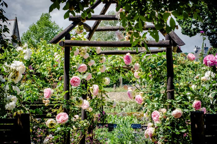 Illustration de l'événement : Un voyage au jardin d'Eden