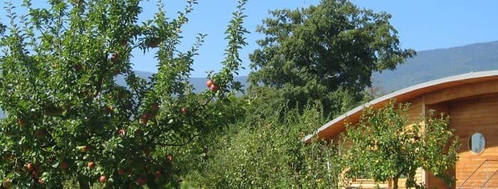 Illustration de l'événement : Rendez-vous aux jardins