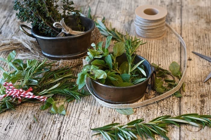 Illustration de l'événement : BOULOGNE-BILLANCOURT : 🌿 Plantes aromatiques et médicinales : des alliées pour votre bien-être 🌿
