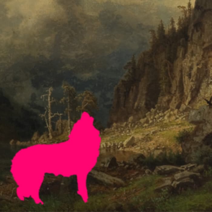 Illustration de l'événement : L’Appel de la forêt