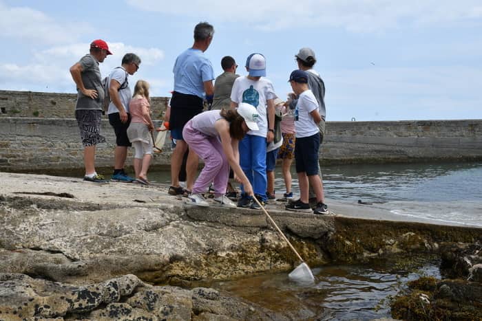 Illustration de l'événement : Pêche et plancton sur le port de Concarneau