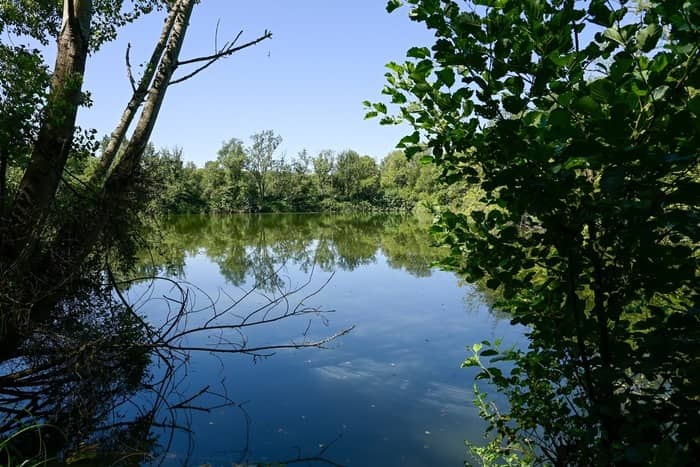 Illustration de l'événement : Villenave-sur-mer : Histoire de l'évolution du bocage et de l'estuaire de l'Eau Blanche