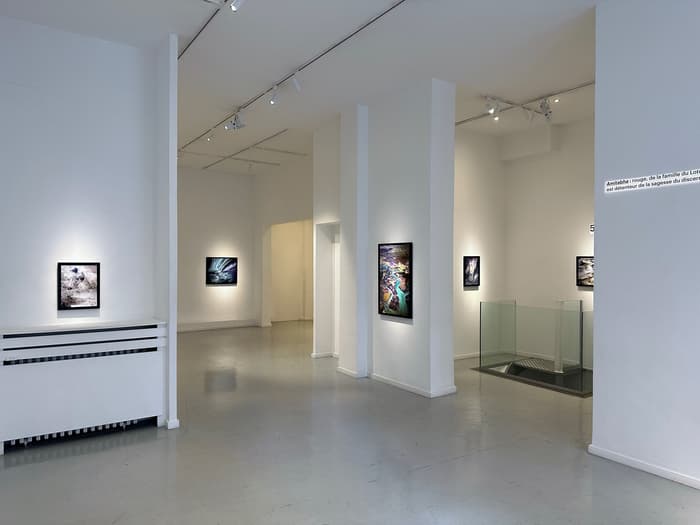 Illustration de l'événement : Exposition de Matthieu Ricard, Vol commercial - Galerie Françoise Livinec