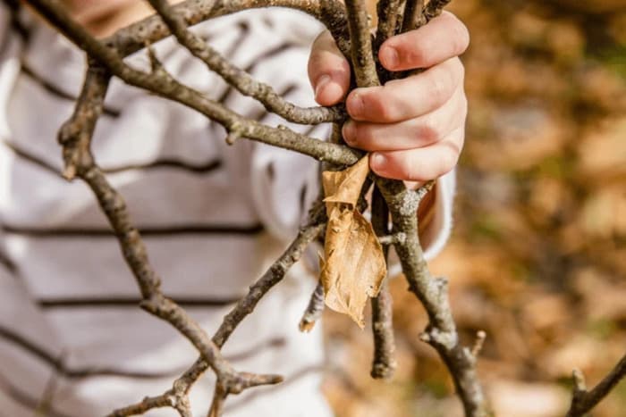 Illustration de l'événement : Création en bois