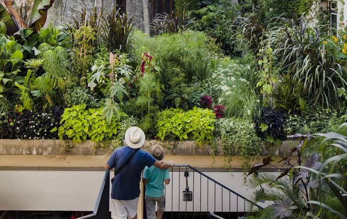 Illustration de l'événement : La ville est un jardin - Visite guidée