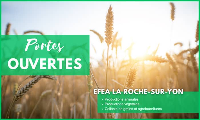 Illustration de l'événement : Portes ouvertes - Formations en agriculture (85)