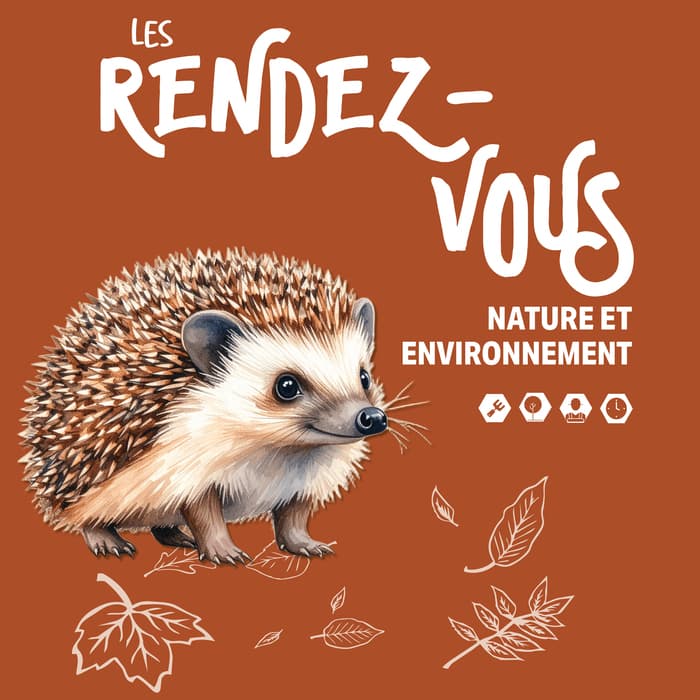Illustration de l'événement : Atelier moustique tigre