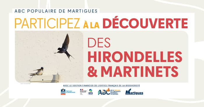 Illustration de l'événement : Atlas populaire de la Biodiversité Communale : " Découverte des hirondelles et martinets "