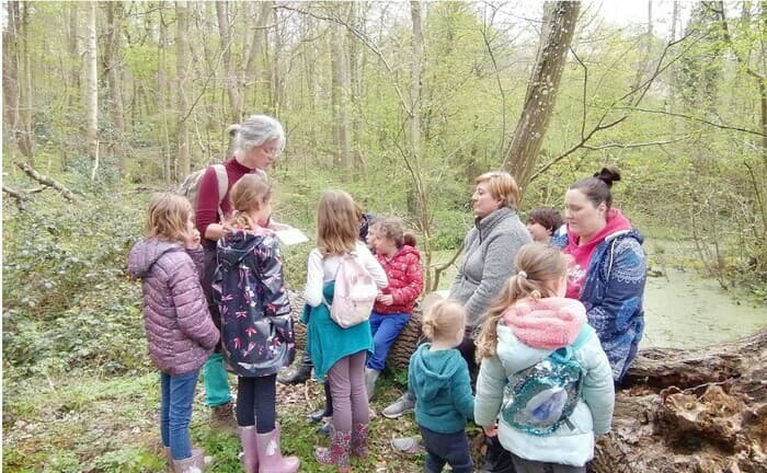 Illustration de l'événement : DERNIÈRES PLACES | Sur les pas du Chevreuil aux bois d’argent