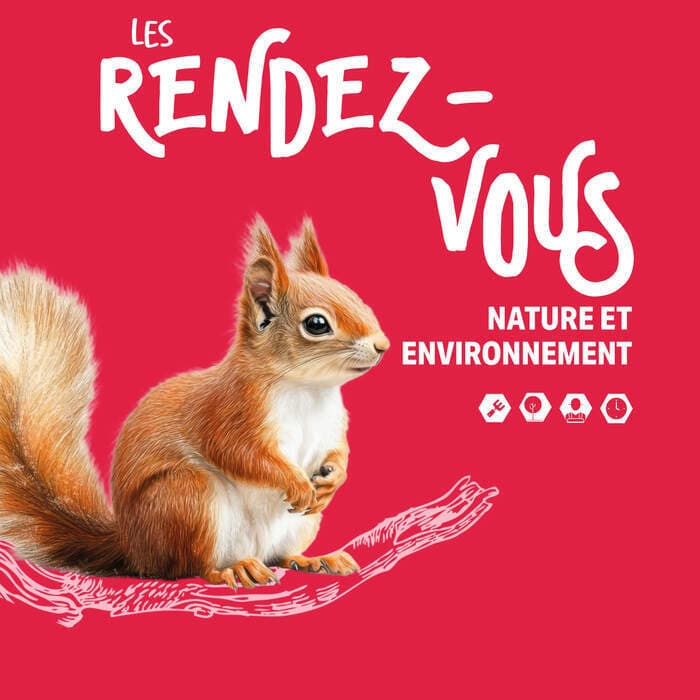 Illustration de l'événement : Balade nocturne