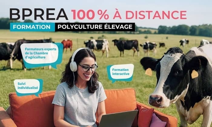 Illustration de l'événement : Webinaire - Présentation du BPREA à distance