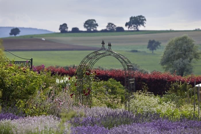 Illustration de l'événement : Un coup d’œil dans les jardins des professionnels - jardin de démonstration dans une jardinerie écologique de parfums et d’herbes aromatique