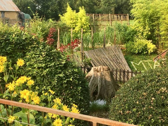 Illustration de l'événement : Visite guidée du jardin