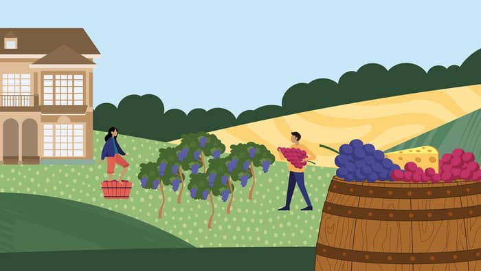 Illustration de l'événement : Balade gourmande #2