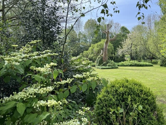 Illustration de l'événement : Visites découvertes au jardin du Prieuré de Saint-Arnoult