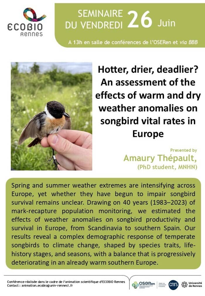 Illustration de l'événement : Hotter, drier, deadlier? An assessment of the effects of warm and dry weather anomalies on songbird vital rates in Europe