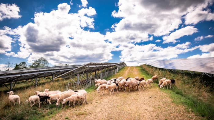 Illustration de l'événement : Agrivoltaics: definition, challenge and implementation - A multidisciplinary and international approach