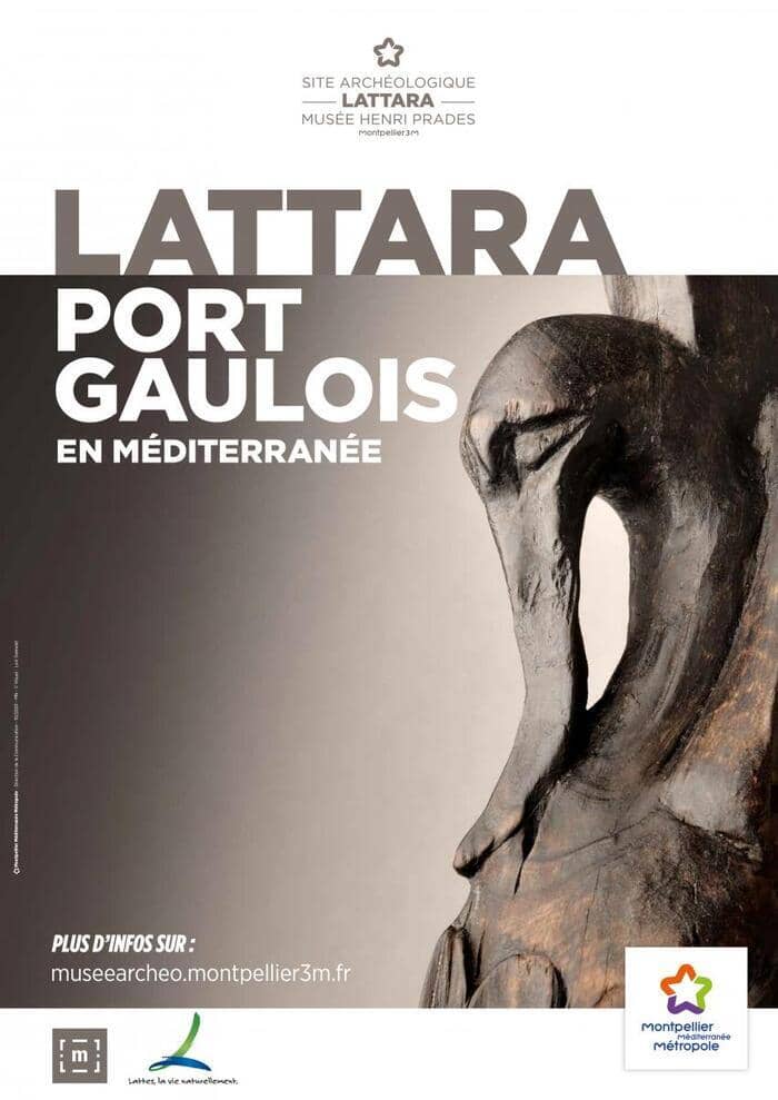 Illustration de l'événement : Lattara : visite libre de la collection permanente