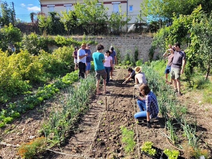 Illustration de l'événement : Initiation à la permaculture