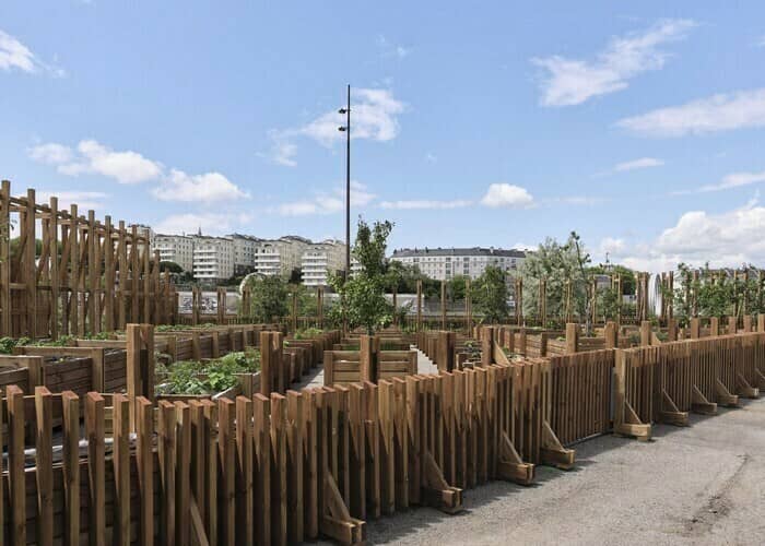 Illustration de l'événement : Le Potager de la Cantine