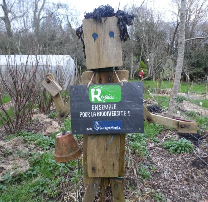 Illustration de l'événement : Conférence sur la Charte Regain - Comment et pourquoi accueillir la biodiversité dans son jardin ?