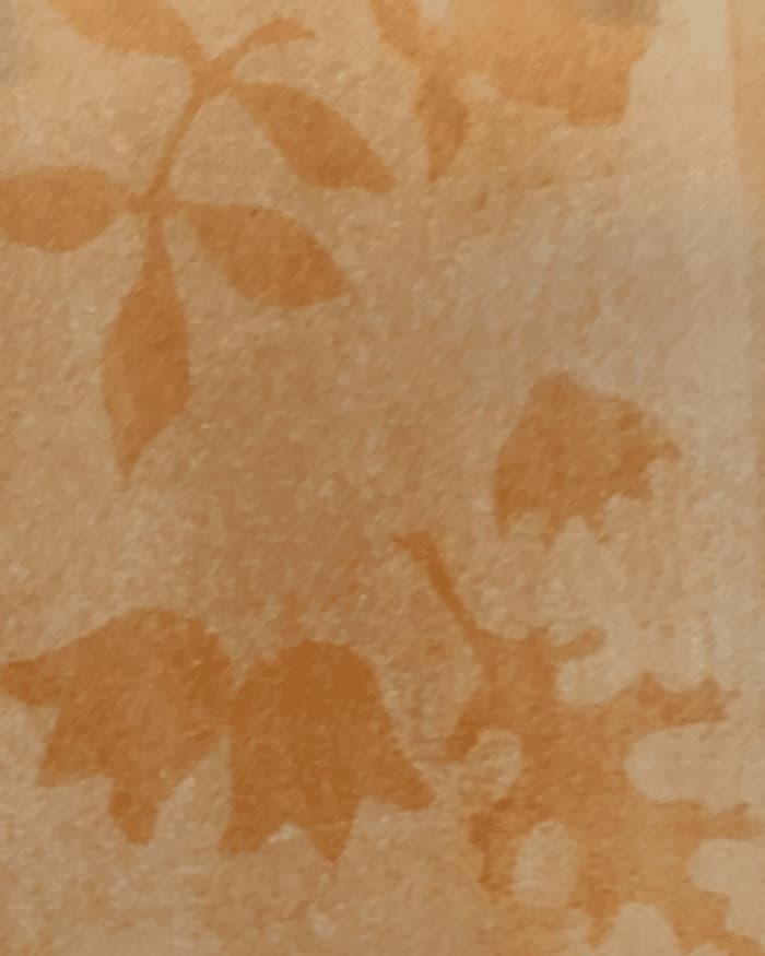 Illustration de l'événement : Atelier de pratique artistique | Anthotype fantôme