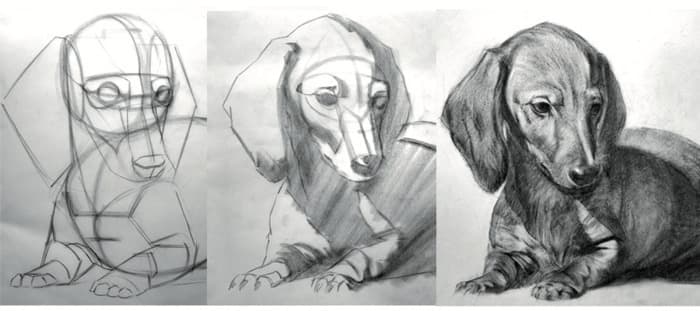 Illustration de l'événement : Mon animal en dessin