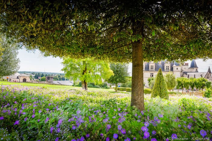 Illustration de l'événement : L’histoire des jardins du château royal d’Amboise en visite guidée