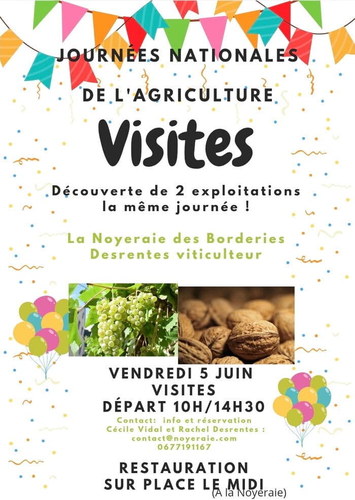 Illustration de l'événement : Noix et Vignes en Borderies - Visites découverte de 2 exploitations