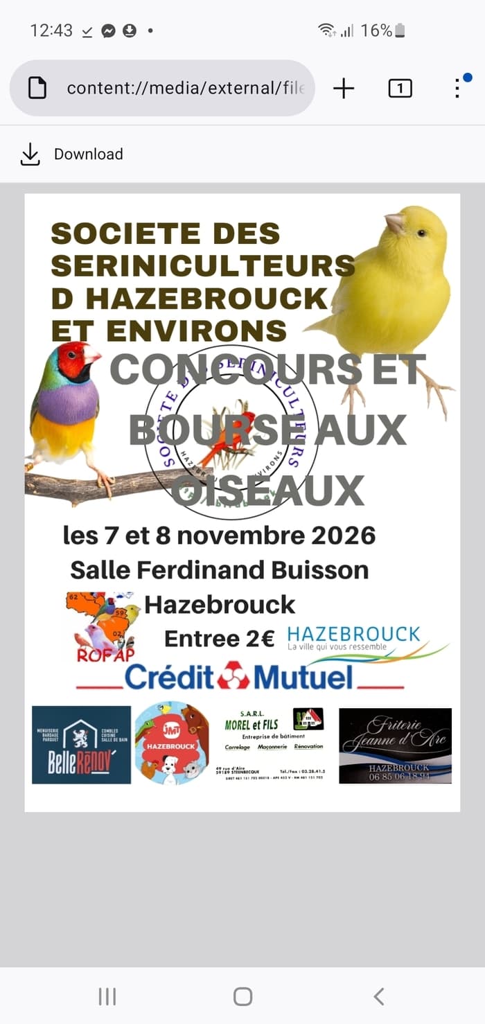 Illustration de l'événement : Exposition d'oiseaux