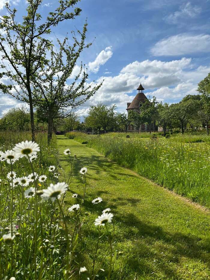 Illustration de l'événement : Visite libre : découverte printanière des jardins du parc du château