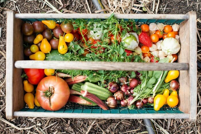 Illustration de l'événement : Repas-débat : vers une sécurité sociale de l’alimentation ?
