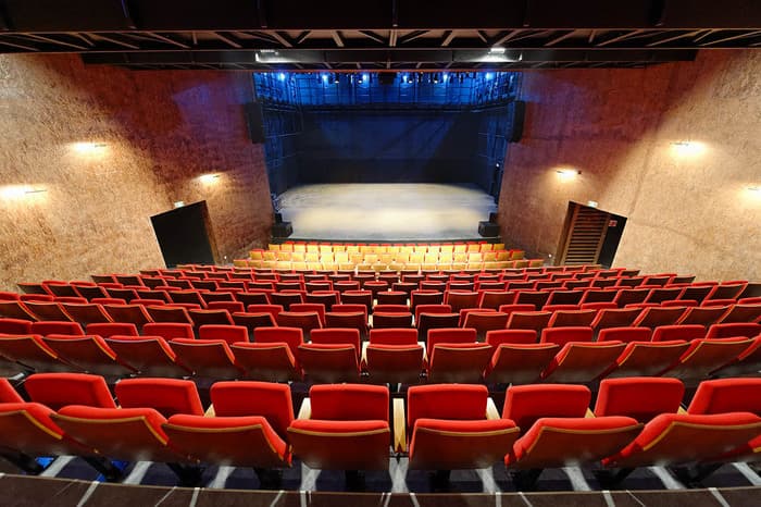 Illustration de l'événement : Visite commentée des coulisses du théâtre