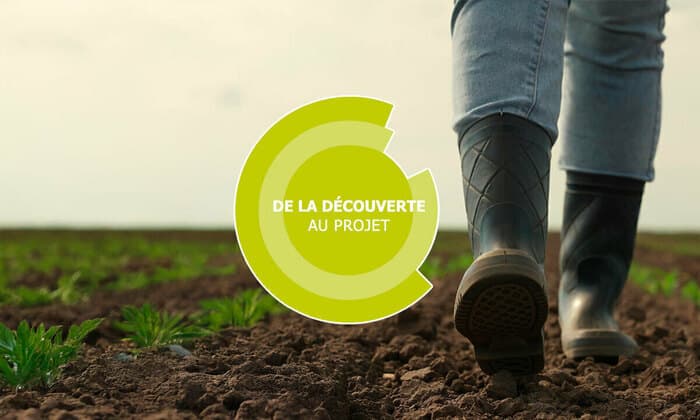 Illustration de l'événement : De la découverte au projet - Polyculture-Élevage - Segré (49)