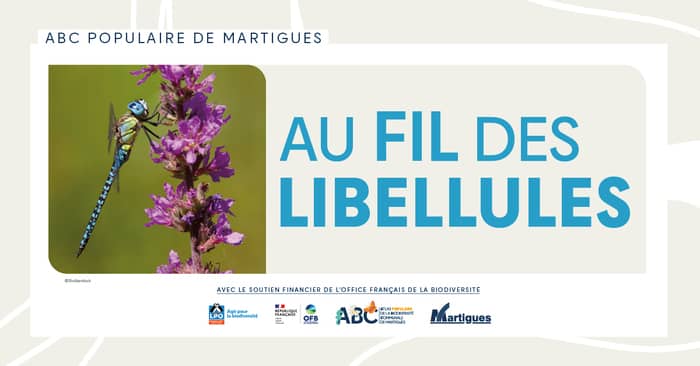 Illustration de l'événement : ABC populaire : "Au fil des libellules"